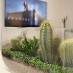 Trevi Fountain Luxury Flat Ρώμη