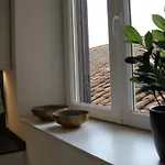 Trevi Fountain Luxury Flat Διαμέρισμα